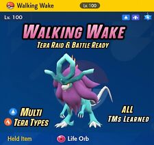 WALKING WAKE • 6IVS & EVs • OT personalizado | Tera Raid  Pokémon Escarlata y Violeta, usado segunda mano  Embacar hacia Argentina