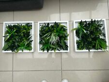 artificial plants for sale  PORTSMOUTH