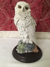 Snowy owl country for sale  HAVERHILL