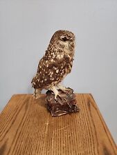 J193 little owl for sale  Hinton