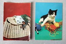 Gatti cartoline vintage usato  Seniga