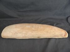 Large fish fossil for sale  Ormond Beach