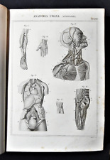 stampe antiche anatomia usato  Monterosso Almo