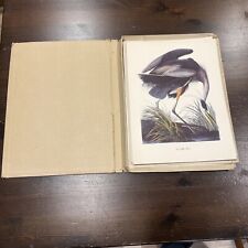 audubon prints for sale  Portland