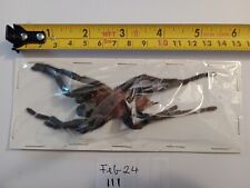 Large tarantula ssp for sale  Shipping to Ireland