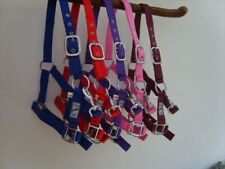 Horse webbing headcollars for sale  HOLSWORTHY