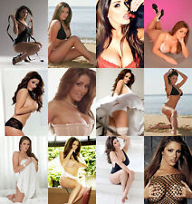 Lucy pinder hot for sale  HALIFAX