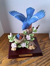 Blue bird baby for sale  Hammonton