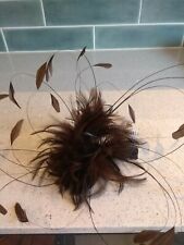 Chocolate brown feather for sale  LLANDUDNO