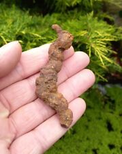 Turtle coprolite fossil for sale  WREXHAM