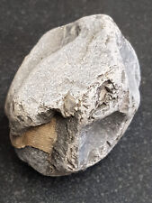 Fossilised rock for sale  ELLESMERE PORT