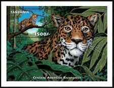 Tanzania 1999 jaguar for sale  Brooklyn