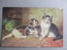 Vintage cat postcard for sale  NORWICH