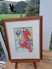 Framed watercolour macaws for sale  BURNLEY