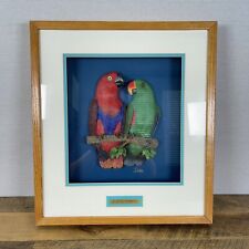 Eclectus parrots shadow for sale  Chino