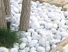 Ciottoli giardino bianco usato  Caivano