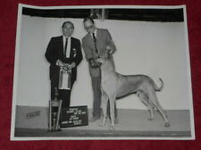 1961 press photo for sale  Worton