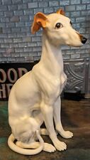 Whippet greyhound dog for sale  Ocean Park