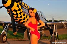 2018 warbird pinup for sale  Rochester