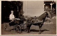 Usado, Foto real postal niño sentado en silla de mimbre dentro carro tirado caballo pony segunda mano  Embacar hacia Argentina