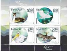 Bulgaria 2019 birds for sale  IPSWICH