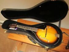 Johnson style mandolin for sale  Chaplin