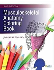 Musculoskeletal anatomy colori for sale  Interlochen