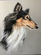 collie paintings for sale  READING