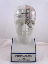 Phrenology head fowler for sale  PLYMOUTH