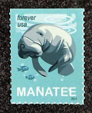 2024USA Forever Manatee - Livreto baleia única, usado comprar usado  Enviando para Brazil
