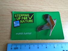 Marsh harrier bird for sale  Ireland