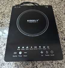 Portable induction cooktop for sale  Newport News