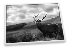 Stag deer scotland for sale  Shipping to Ireland