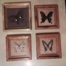 Framed mounted butterfly. for sale  PRESTON