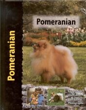 Pomeranian cunliffe juliette for sale  UK