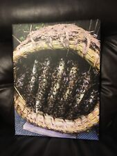 Bee skep canvas for sale  HALIFAX