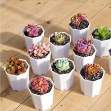 Cute ceramic planters for sale  Shipping to Ireland
