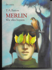 Merlin begann . gebraucht kaufen  Berlin