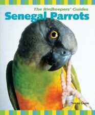Senegal parrots gagne for sale  Aurora
