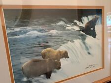 Bears photograph mark for sale  Altamonte Springs