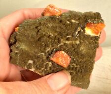 #5475 Wulfenite with Descloizite coating - Los Lamentos, Mexico for sale  Shipping to South Africa