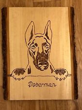 X10 doberman burnt for sale  Minneapolis