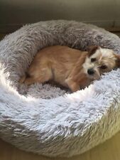 Medium dog beds for sale  LEICESTER