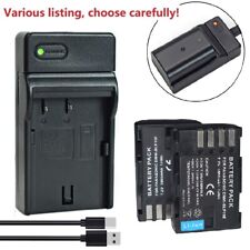 Battery charger panasonic for sale  Shipping to Ireland