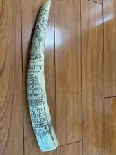 Walrus tusk replica for sale  Mesa
