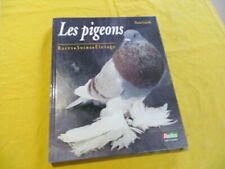Pigeons pierre corcelle d'occasion  Saint-Laurent-de-la-Cabrerisse