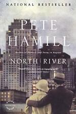 North river novel for sale  Boston
