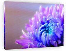 Chrysanthemum flower canvas for sale  DONCASTER