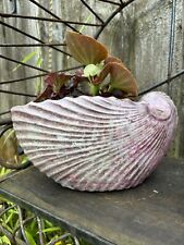 shell plant pot for sale  DUNSTABLE