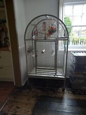 Large rainforest parrot for sale  CORNHILL-ON-TWEED